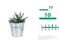 Succulent plant in a metal bucket with a measuring ruler next to it.