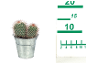 Two small cacti in a metal bucket with a measuring scale on the side.
