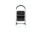 Two-step ladder with green handle and anti-slip steps.