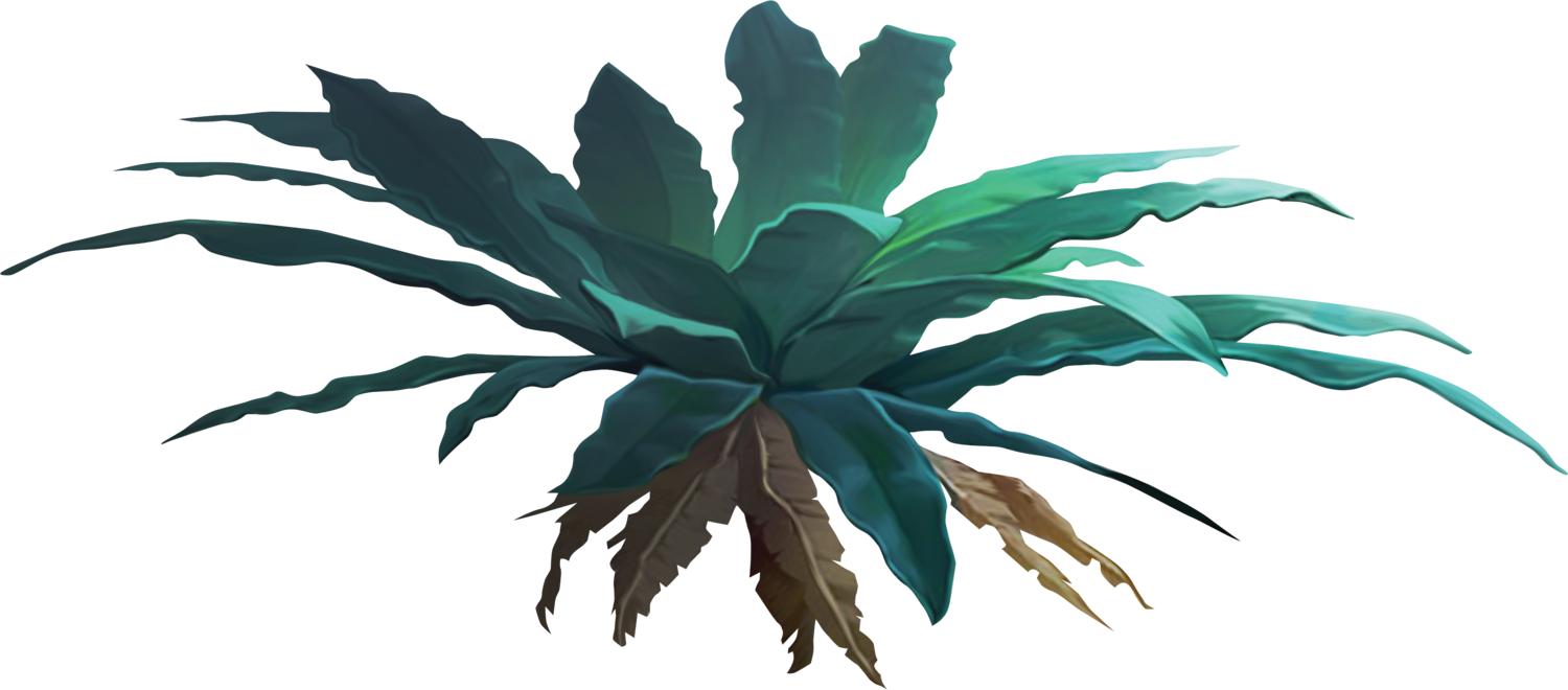 Green plant with brown leaves.