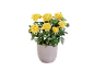 Yellow rose in a gray ceramic pot on a black background.