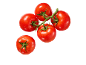 Ripe red tomatoes on a vine with water droplets on a black background.