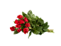 Bouquet of red roses with green leaves on a black background.