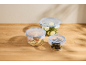 Three round glass food storage containers with blue lids, filled with vegetables.