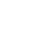 Text: 100% cotton