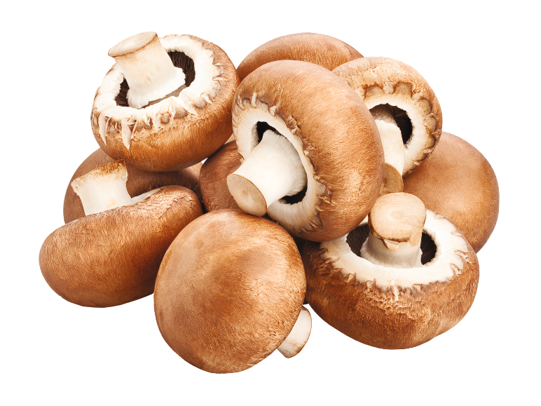 Brown mushrooms on a black background