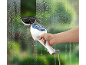 Hand cleaning a foggy window with a steam cleaner and window squeegee attachment.
