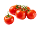 Fresh red tomatoes with water droplets on a black background.