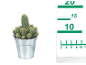 Cactus in a metal pot with a green measuring scale on the side.
