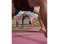 Women in activewear doing yoga on pink mats on grass.
