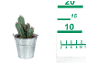Cactus in a metal bucket with a green measuring ruler next to it.