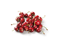 A pile of fresh, ripe red cherries with green stems on a white background.
