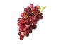 Fresh bunch of red grapes with water droplets on a black background.