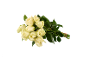 Bouquet of white roses with green stems and leaves, tied with a rubber band.