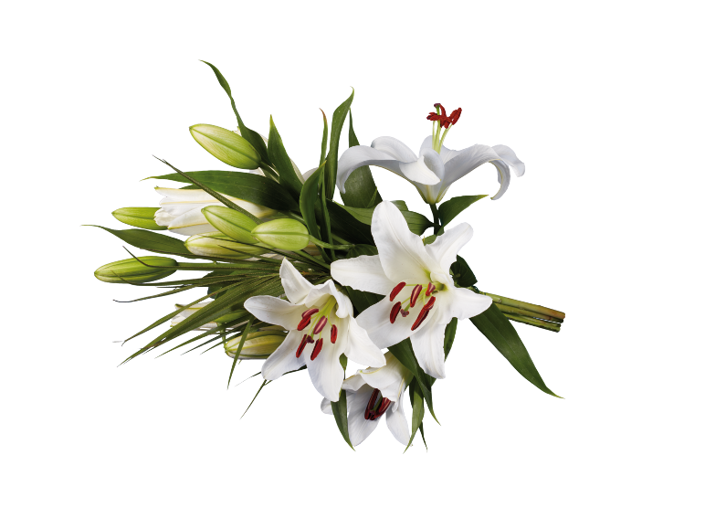 Bouquet of white lilies with green buds and red stamens.