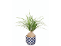 Potted plant with green leaves in a blue and white diamond-patterned planter.