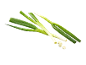 Fresh green onions with water droplets, some sliced, on a black background.