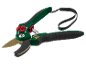 Green garden shears with golden blades and a black strap, marked '30 YEARS'.