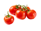 Fresh red tomatoes with water droplets on a black background.