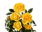 Vibrant yellow roses with green leaves on a black background.