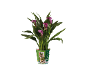 Calla plant with purple flowers in a green pot with decorative images.