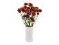 Bouquet of red and yellow chrysanthemums in a white vase.
