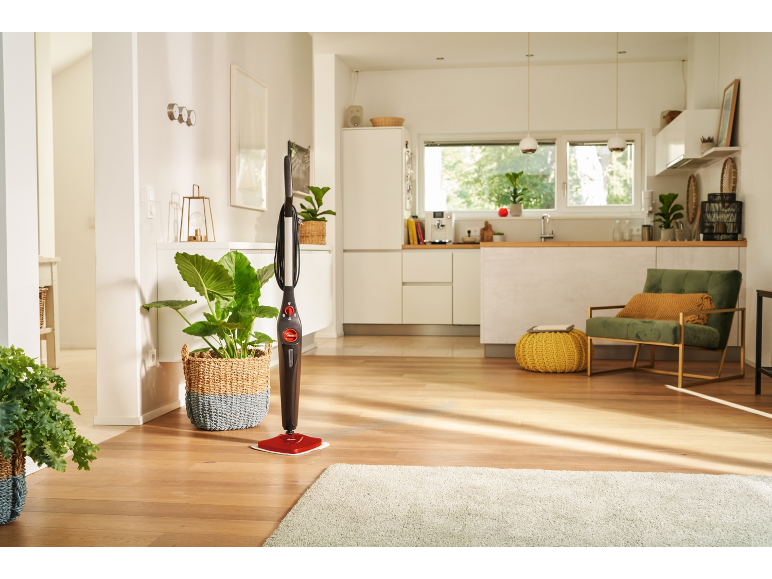 Steam mop in a modern living room with an open kitchen and plants.