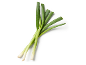 A bunch of fresh spring onions with green stalks and white roots on a white background.