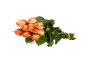 Bouquet of orange roses with green stems and leaves on a black background.