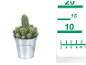 Cactus in a metal pot with a green measuring scale on the side.