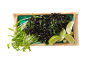 Black rice with spinach, green sprouts, and lime in a rectangular dish.