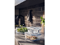 Glass food storage containers with a sandwich and salad in a kitchen.