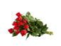 Bouquet of fresh red roses with green leaves on a black background.