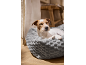 Jack Russell Terrier dog sleeping in a grey, soft pet bed.