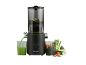 Black juicer with green juice in a glass, surrounded by fresh vegetables.