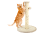 Ginger cat playing with a scratching post with a hanging toy.