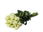 Bouquet of white roses with green leaves.