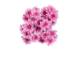 Bouquet of vibrant pink chrysanthemums on a black background.
