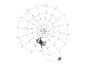 Decorative light-up spider web with a black spider for Halloween.