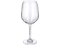 An empty, clear wine glass with a wide bowl and a slender stem.