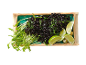 Black rice with spinach, green sprouts, and lime in a rectangular dish.