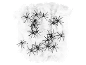Black toy spiders on white spiderweb for Halloween.