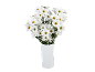 Bouquet of white daisies with yellow centers in a white vase.