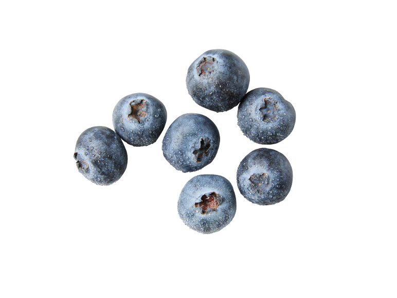 Fresh, juicy blueberries with water droplets on a black background.