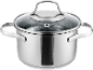Stainless steel cooking pot with glass lid