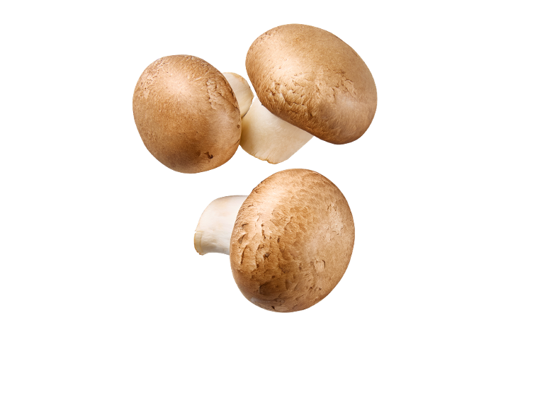Three brown portobello mushrooms with white stems against a black background.