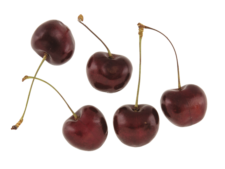 Five fresh, dark red cherries with green stems on a white background.