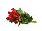 Bouquet of red roses with green leaves on a black background.
