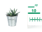 Succulent plant in a metal bucket with a measuring ruler next to it.