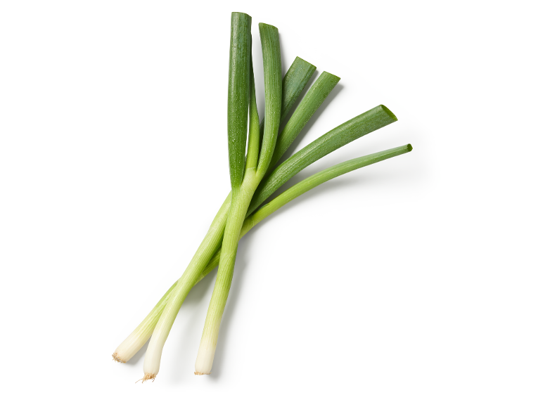A bunch of fresh spring onions with green stalks and white roots on a white background.